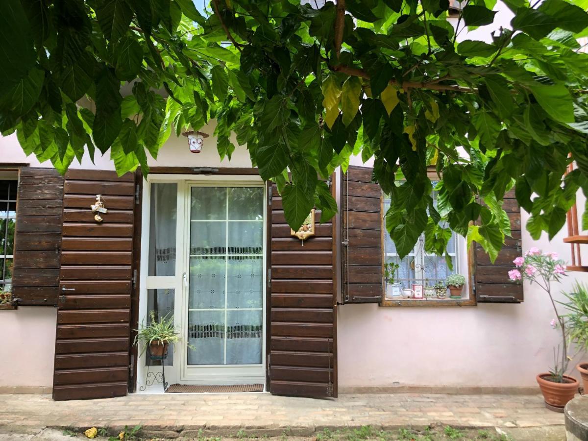 La Casa Nel Bosco Bed & Breakfast Gorizia Bagian luar foto